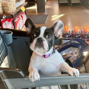 #36 live show listing 💕